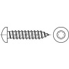 Skrutka samorezná TORX DIN 7981C 5,5x50 pozink Skrutka samorezná TORX DIN 7981C 5,5x50 pozink