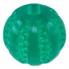 Dog Fantasy loptička Dental Mint 7 cm Dog Fantasy loptička Dental Mint 7 cm