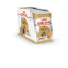 ROY ROYAL CANIN Shih Tzu Adult mokré krmivo pre psov Paštéta 12x85 g ROY ROYAL CANIN Shih Tzu Adult mokré krmivo pre psov Paštéta 12x85 g