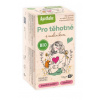 Apotheke BIO čaj pre Tehotné s maliníkom 20x1,5g Apotheke BIO čaj pre Tehotné s maliníkom 20x1,5g