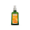 Weleda Rakytníkový pěstící olej 100 ml Weleda Rakytníkový pěstící olej 100 ml