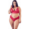 Cottelli Collection Plus Bra and Crotchless String Cottelli Collection Plus Bra and Crotchless String