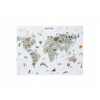 PODLOŽKA NA PÍSACÍ STÔL MAPA SVETA PRE DETI 60x45 CM FAREBNÁ PODLOŽKA NA PÍSACÍ STÔL MAPA SVETA PRE DETI 60x45 CM FAREBNÁ