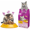 Whiskas suché krmivo kuracie mäso 14,32 kg Whiskas suché krmivo kuracie mäso 14,32 kg