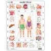 Puzzle 35 Naše tělo deskové Puzzle 35 Naše tělo deskové