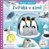Zvířata v zimě - První objevy - Jenny Wren Zvířata v zimě - První objevy - Jenny Wren