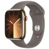 Apple Watch Series 9 Cellular 45mm Zlatá ocel s jílově šedým sportovním řemínkem M/L