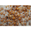 LK Baits N.H.D.C. Tiger Nuts Mix nakládaný 3 kg LK Baits N.H.D.C. Tiger Nuts Mix nakládaný 3 kg