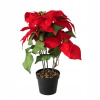 VIANOČNÁ HVIEZDA UMELÁ KVETINA V ČERVENOM KVETINÁČI NA VIANOCE, výška 40 cm VIANOČNÁ HVIEZDA UMELÁ KVETINA V ČERVENOM KVETINÁČI NA VIANOCE, výška 40 cm