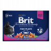 Brit Premium Cat Delicate Fillets in Gravy Cod fish, Salmon and Trout 4 x 100 g Brit Premium Cat Delicate Fillets in Gravy Cod fish, Salmon and Trout 4 x 100 g
