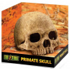 Hagen Exo Terra Lidská lebka 15x11,5x10,5 cm Hagen Exo Terra Lidská lebka 15x11,5x10,5 cm