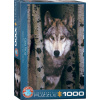 EUROGRAPHICS Puzzle Šedý vlk 1000 dielikov EUROGRAPHICS Puzzle Šedý vlk 1000 dielikov