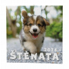 Baloušek Tisk - nástenný poznámkový kalendár Šteňatá 2026, 28,5 × 28,5 cm Baloušek Tisk - nástenný poznámkový kalendár Šteňatá 2026, 28,5 × 28,5 cm
