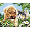 Diamantový obrázek -Kotě a štěně na louce 30x40cm Diamantový obrázek -Kotě a štěně na louce 30x40cm