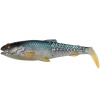Savage Gear Gumová nástraha Craft Cannibal Paddletail Roach - 12,5cm 20g Savage Gear Gumová nástraha Craft Cannibal Paddletail Roach - 12,5cm 20g