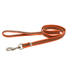 Vodítko s uškom pogumované, 19mm/2m, nerezová karabína, oranžové, HS Vodítko s uškom pogumované, 19mm/2m, nerezová karabína, oranžové, HS