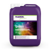 Plagron Green Sensation Objem hnojiva: 5 l Plagron Green Sensation Objem hnojiva: 5 l