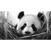 Obraz – Panda Dizajn – AiArt 16:9 Obraz – Panda Dizajn – AiArt 16:9