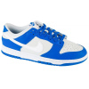 Topánky Nike Dunk Low M FN3416-001 42,5 Topánky Nike Dunk Low M FN3416-001 42,5