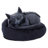 Nemesis Now Cult Cuties Figurka Malpuss Dreams 9 cm Nemesis Now Cult Cuties Figurka Malpuss Dreams 9 cm