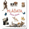 Mláďata - Svojtka&Co. Mláďata - Svojtka&Co.