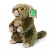 Rappa Plyšový svišť 17 cm ECO-FRIENDLY Rappa Plyšový svišť 17 cm ECO-FRIENDLY