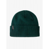 Zimná čiapka Patagonia Brodeo Beanie - cascade green Zimná čiapka Patagonia Brodeo Beanie - cascade green