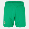 Castore Ireland Home Shorts 2024 Adults Green L Castore Ireland Home Shorts 2024 Adults Green L