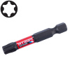 FESTA® INDUSTRY Bit torzní S2 1/4“ TORX T40×50 mm, 2 ks 18725 FESTA® INDUSTRY Bit torzní S2 1/4“ TORX T40×50 mm, 2 ks 18725