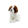 Eco Friendly Plyš Bernandín 26 cm Eco Friendly Plyš Bernandín 26 cm