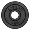 Lifefit Kotúč 1kg kovový pre 30mm tyč Lifefit Kotúč 1kg kovový pre 30mm tyč