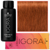 Schwarzkopf Professional IGORA New Vibrance Polopermanentná farba na vlasy odtieň 7-77 60ml Schwarzkopf Professional IGORA New Vibrance Polopermanentná farba na vlasy odtieň 7-77 60ml