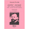 Goin' Home (Largo - ze symfonie Goin' Home (Largo - ze symfonie