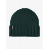 Zimná čiapka Patagonia Brodeo Beanie - cascade green Zimná čiapka Patagonia Brodeo Beanie - cascade green