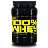 100% Whey Professional Protein Best Nutrition 1kg 100% Whey Professional Protein Best Nutrition 1kg