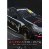 Automobilista (PC) Steam Automobilista (PC) Steam