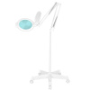 GLOW Moonlight 8013/6 GLOW Moonlight 8013/6