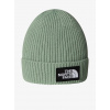 Detská čiapka The North Face Logo Box Cuffed Beanie - slate moss Detská čiapka The North Face Logo Box Cuffed Beanie - slate moss