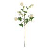 Umelý kvet (výška 101 cm) Chrysantemum – Bloomingville Umelý kvet (výška 101 cm) Chrysantemum – Bloomingville