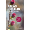 Atlas rostlin - Stromy a keře (Bruno P. Kremer) Atlas rostlin - Stromy a keře (Bruno P. Kremer)