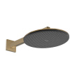 Hansgrohe Raindance Alive S - Hlavová sprcha 300 1jet EcoSmart + sprchové rameno 390 mm, kartáčovaný bronz 24521140+24337140 Hansgrohe Raindance Alive S - Hlavová sprcha 300 1jet EcoSmart + sprchové rameno 390 mm, kartáčovaný bronz 24521140+24337140
