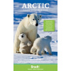 Arctic Arctic