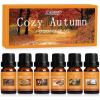 Salubrito Sada jesenných éterických olejov: Škorica, Pumpkin Spice, Vanilka a ďalšie (6×10 ml) Salubrito Sada jesenných éterických olejov: Škorica, Pumpkin Spice, Vanilka a ďalšie (6×10 ml)