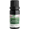 Nobilis Tilia Éterický olej Bazalka levanduľová, 10 ml Nobilis Tilia Éterický olej Bazalka levanduľová, 10 ml