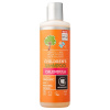 Urtekram Detský šampón Bio 250 ml Urtekram Detský šampón Bio 250 ml