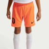Nike Kids' Netherlands FIFA World Cup 2026™ Football Shorts Orange/Black 13 rokov Nike Kids' Netherlands FIFA World Cup 2026™ Football Shorts Orange/Black 13 rokov