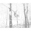 ZUTY Bodkovanie - JELEŇ V ZASNEŽENOM LESE Rámovanie: vypnuté plátno na rám, Rozmer: 80x100 cm ZUTY Bodkovanie - JELEŇ V ZASNEŽENOM LESE Rámovanie: vypnuté plátno na rám, Rozmer: 80x100 cm