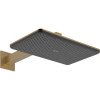 HANSGROHE Raindance Alive Q horná sprcha 2jet EcoSmart, 340 x 210 mm, so sprchovým ramenom 372 mm, kartáčovaný bronz, 24551140 HANSGROHE Raindance Alive Q horná sprcha 2jet EcoSmart, 340 x 210 mm, so sprchovým ramenom 372 mm, kartáčovaný bronz, 24551140