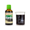 Hrdobarka Obyčajná Alkoholová Tinktúra 50 ml (Teucrium chamaedrys) Hrdobarka Obyčajná Alkoholová Tinktúra 50 ml (Teucrium chamaedrys)