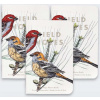 Field Notes Poznámky z terénu: Ptáci a stromy Severní Ameriky Field Notes Poznámky z terénu: Ptáci a stromy Severní Ameriky